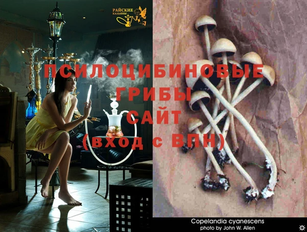MDMA Premium VHQ Волосово